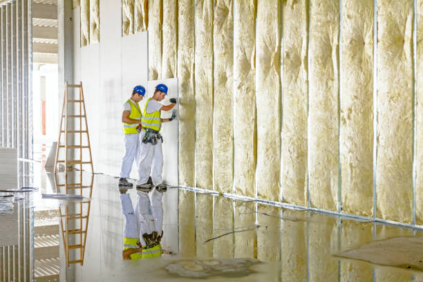 Best Insulation Materials and Products in Garyville, LA